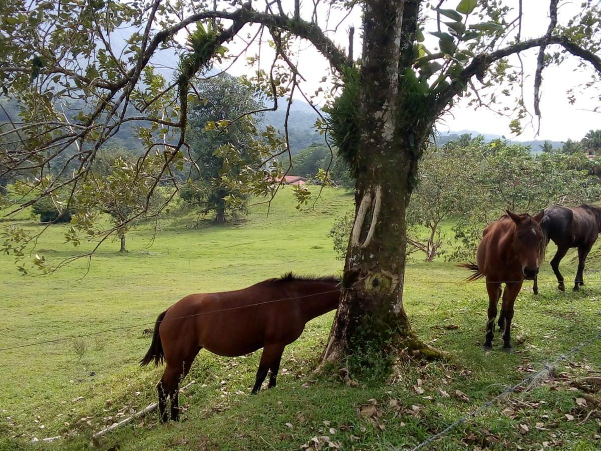 Casona Rustica & Bungalow La Fortuna Bagian luar foto